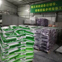 专业建筑建材供应商——探访中山五桂山耀王邦建材厂